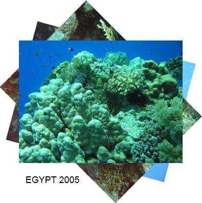 egypt2005